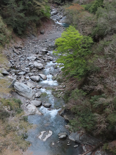 2023_八通關越道路 之 塔達芬營地~大分山屋