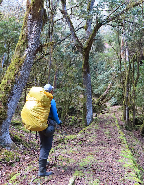 2023_八通關越道路 之 大分山屋~抱崖山屋