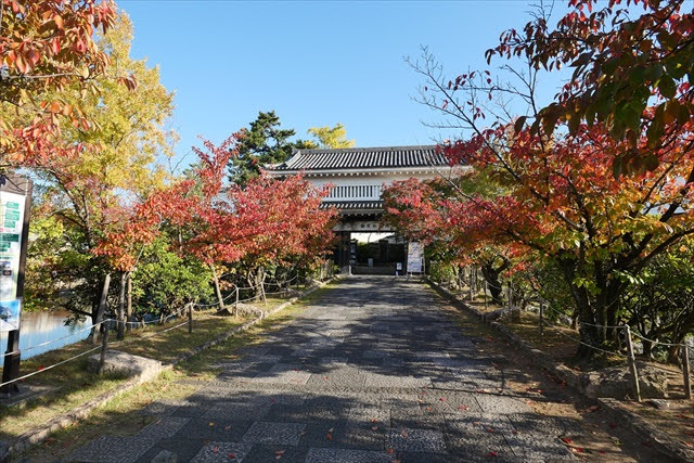 岸和田城