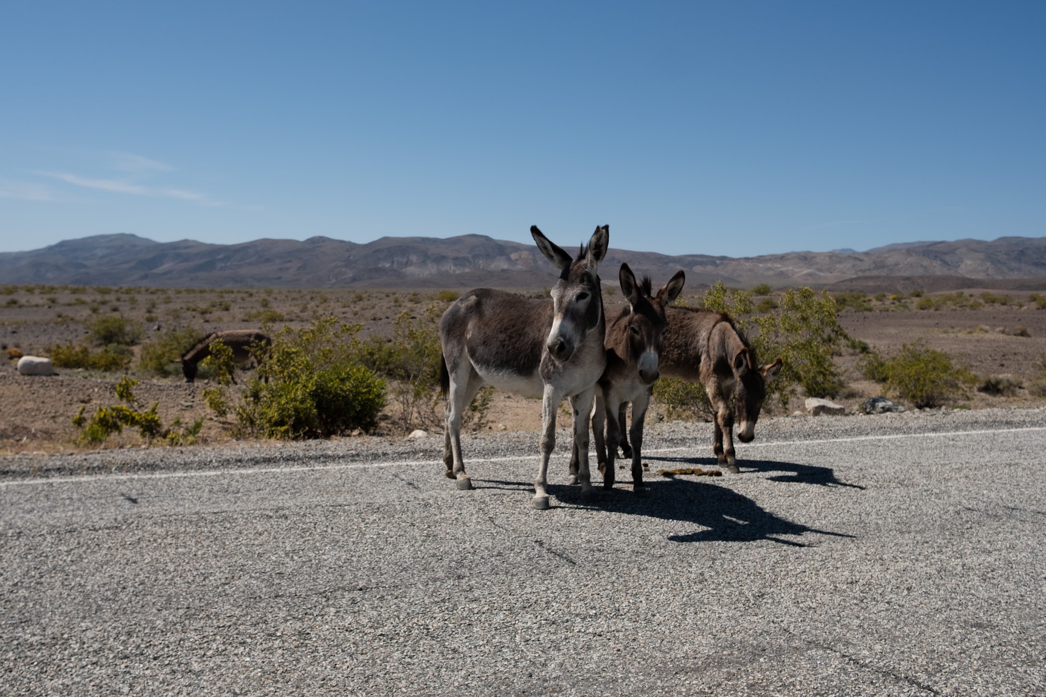 A weekend in Death Valley