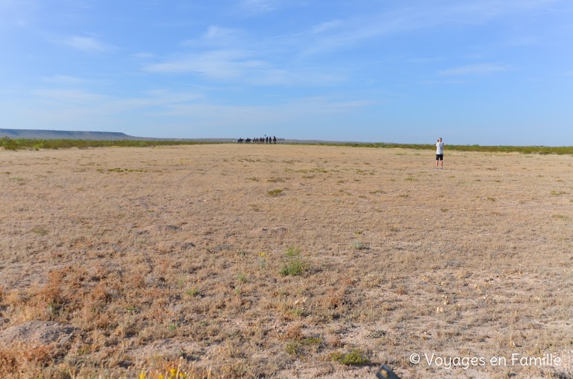 Fort-Stockton : Walk to Fort Stockton Sculpture