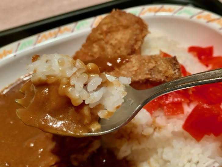 カレーをスプーンですくってみた