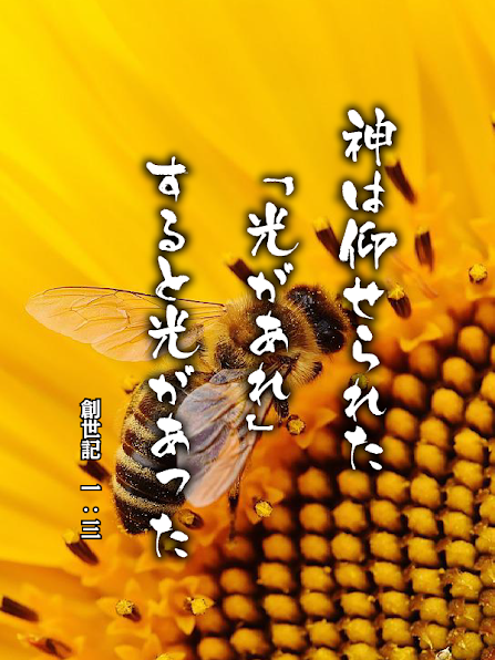 みことば7月28日