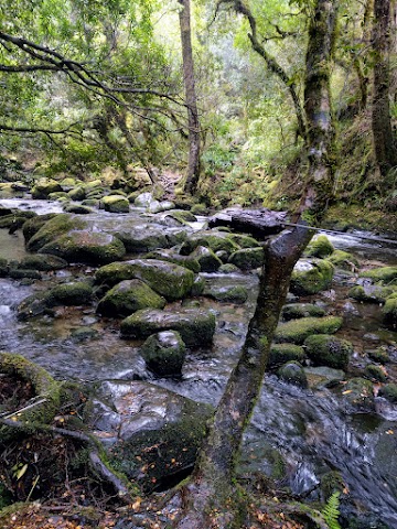 Korokoro Falls Track river crossing