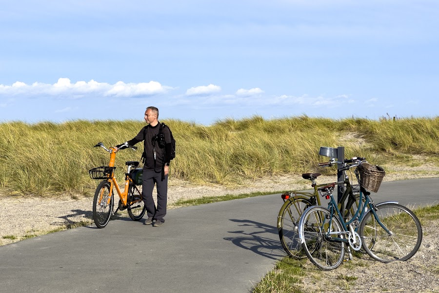 Kopenhaga, plaża Amager Stranpark