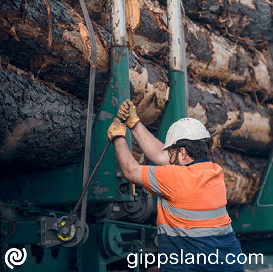 Recent Australian Financial Review article, highlights native forest harvesting's carbon capture potential, emphasising the perpetual carbon storage and CO2 reduction through photosynthesis