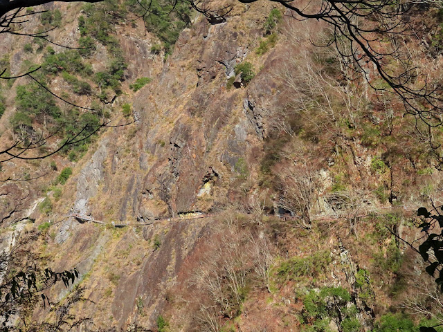 2023_八通關越道路 之 東埔登山口~觀高工作站