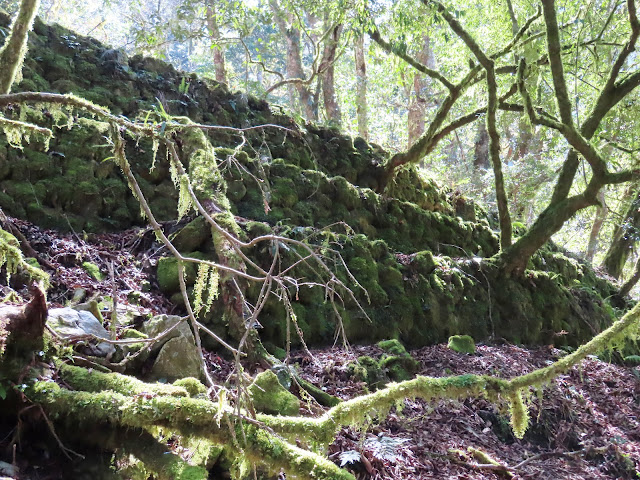 2023_八通關越道路 之 抱崖山屋~瓦拉米山屋