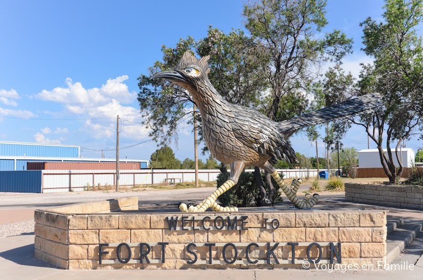 Fort-Stockton : Roadrunner