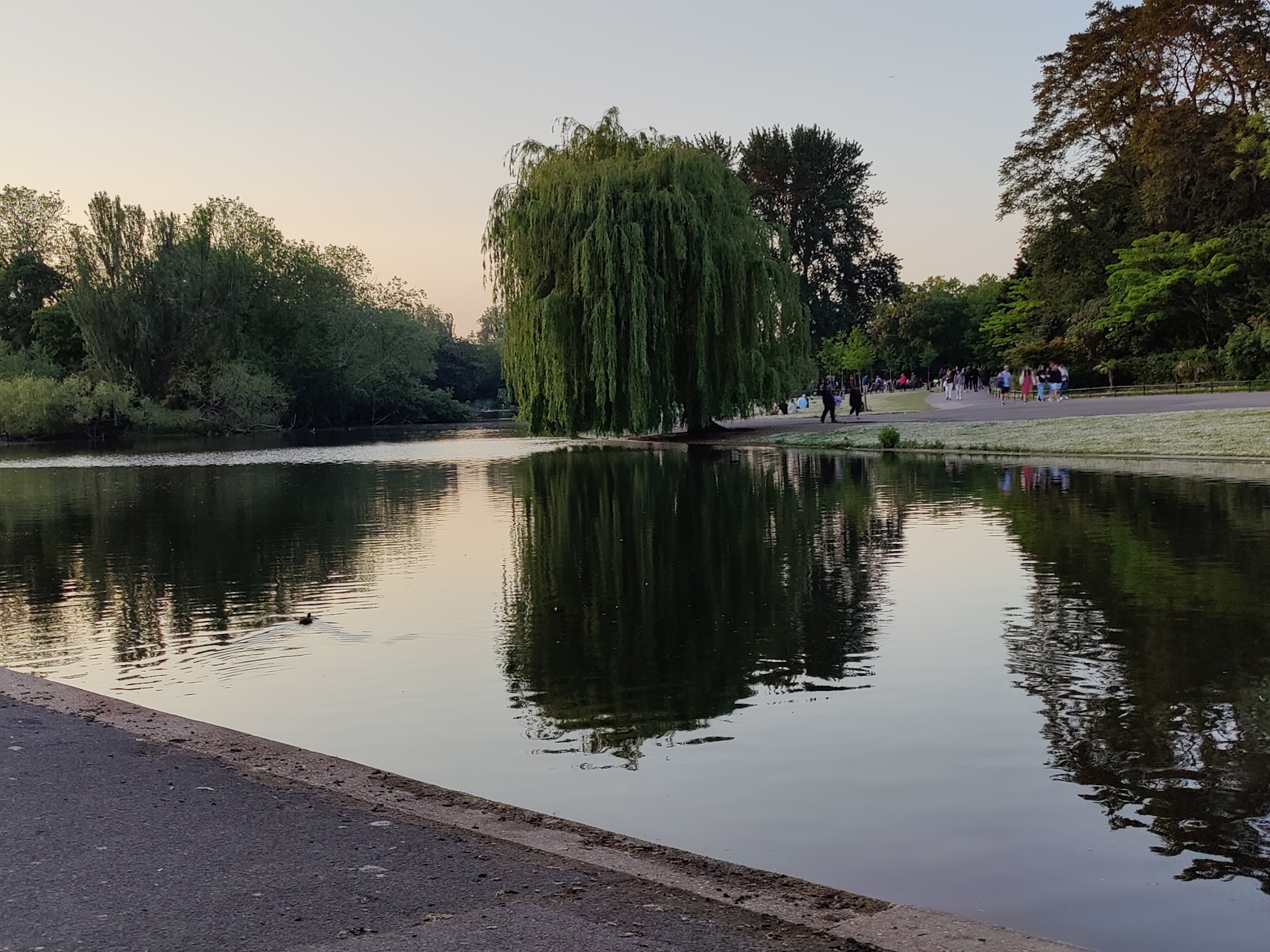Small lake in Regent's Park