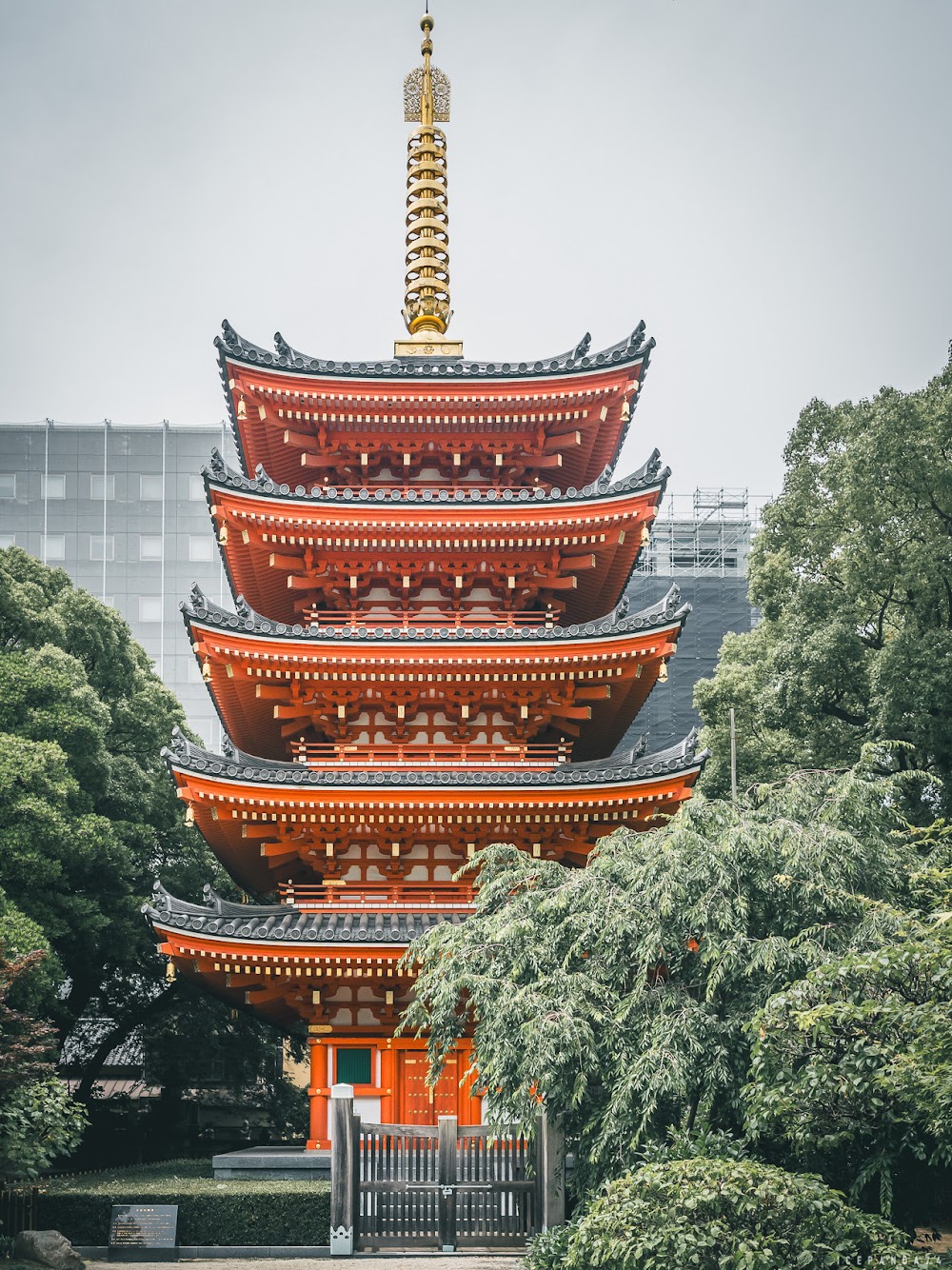 福岡景點,九州景點,東長寺,日本最大佛像