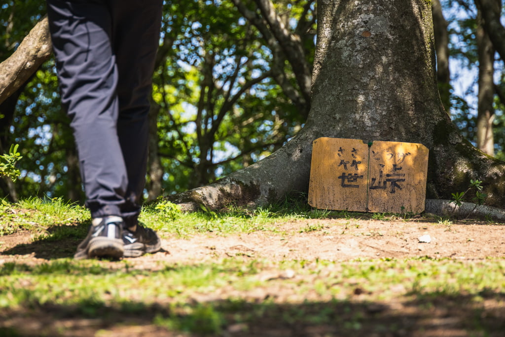 【登山】絶景の霊仙山でアルプス気分ハイク