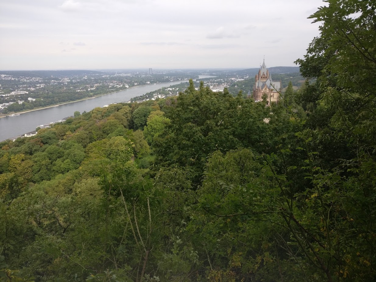 A view of the Rhein and the castle from a higher point