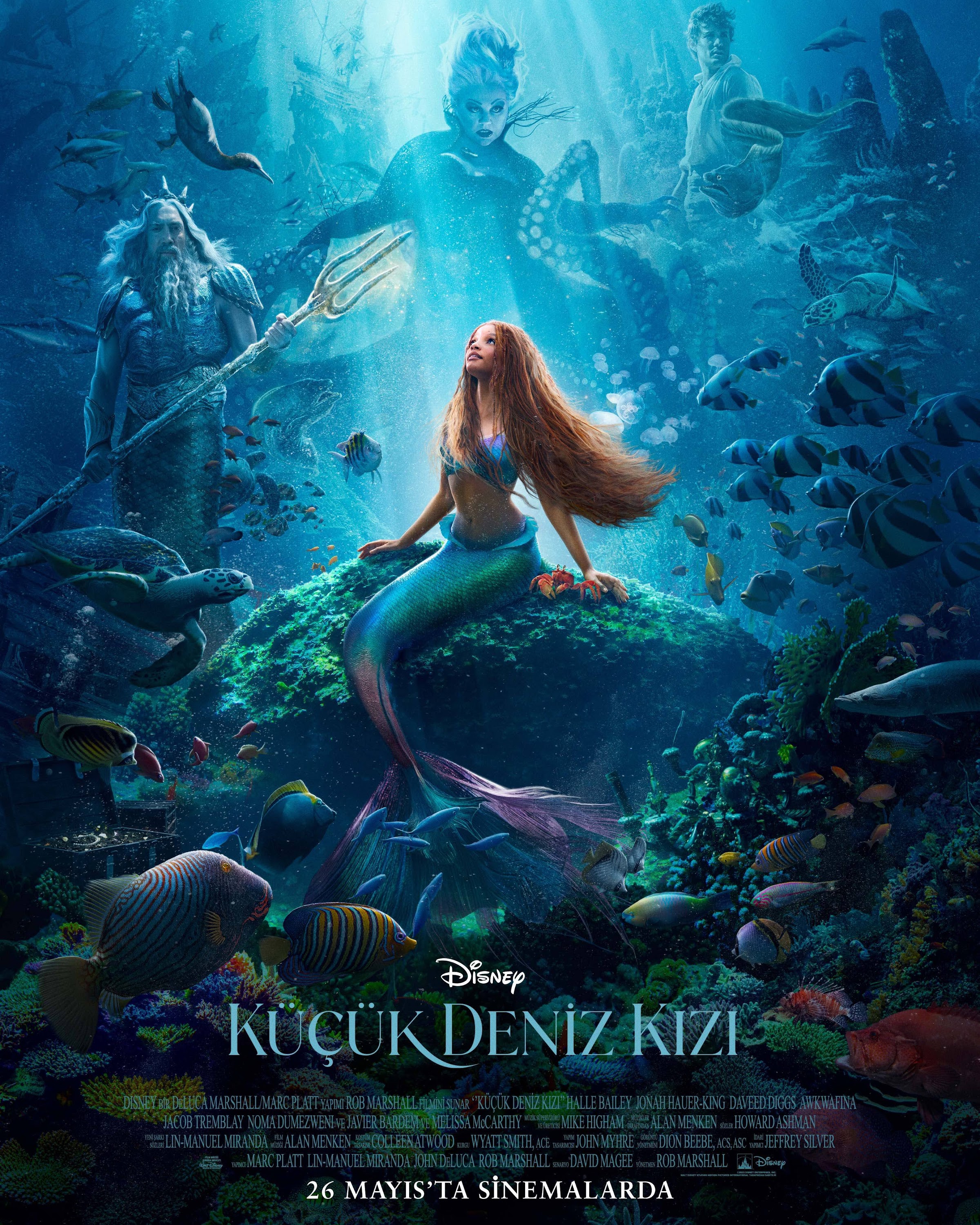 Küçük Deniz Kızı - The Little Mermaid (2023)