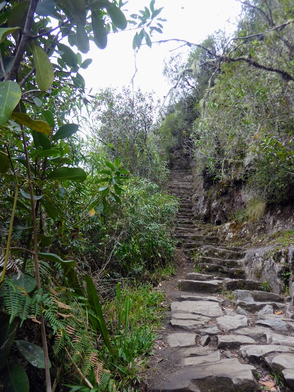 Huayna Pichu: (Machu Pichu) - Mi viaje a Perú: Un abanico de Civilizaciones, Historia y Naturaleza (4)