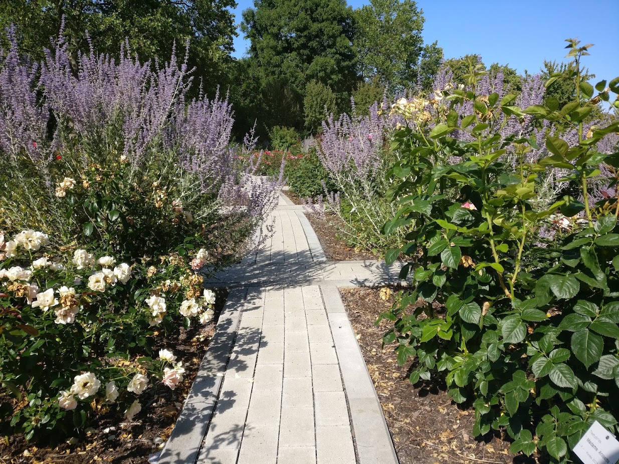 A narrow path with flowers on the sides