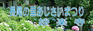 長尾の里あじさいまつり