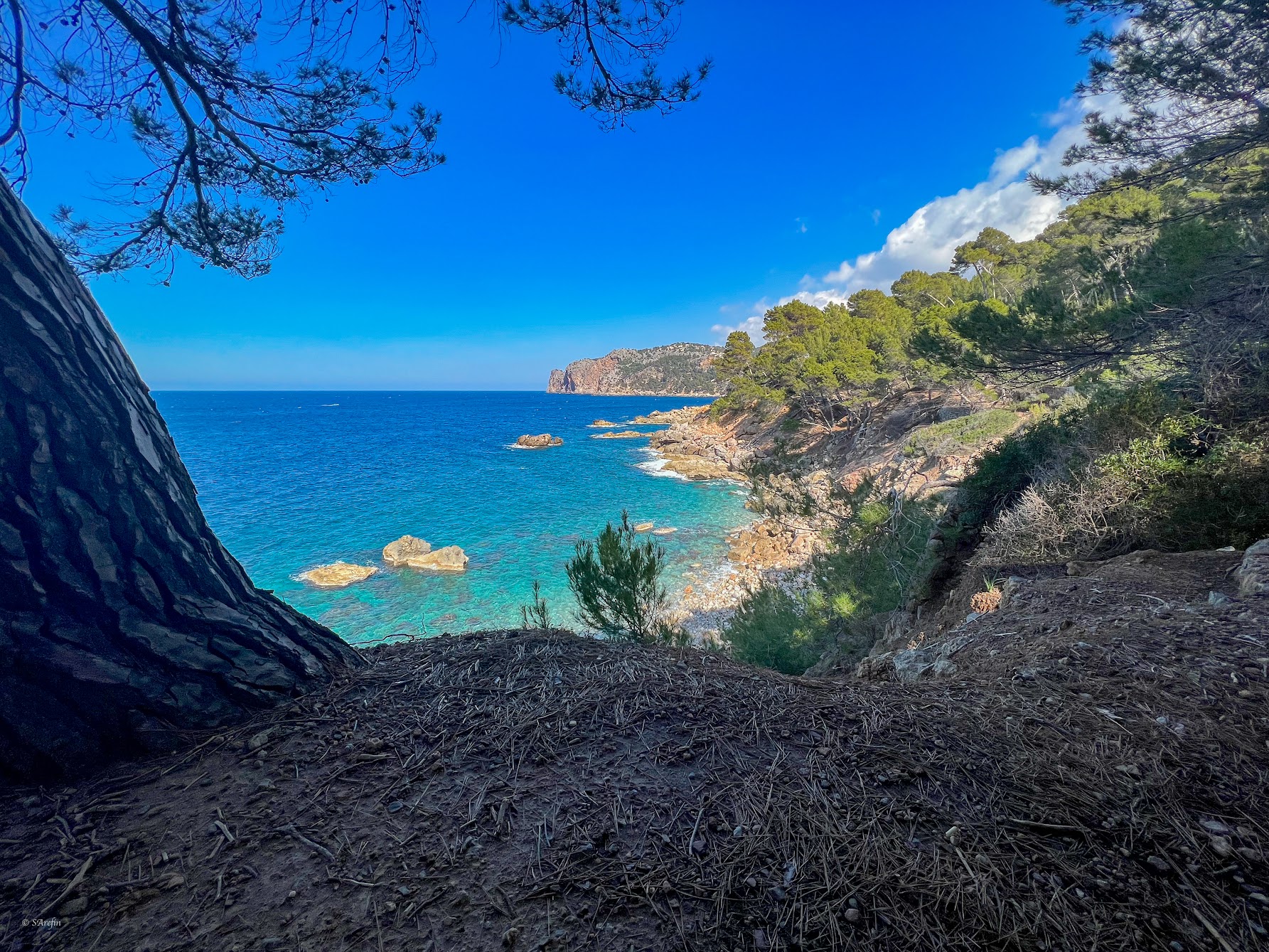 The Sea And The Mountain Unites