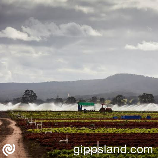 Informed by customer consultation, customers will be facing irrigation price increase effectively starting from 1 July 2023