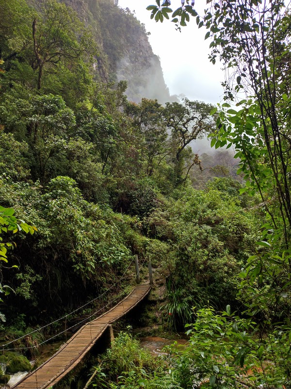 Catarata Yumbilla. Valle de las Cascadas. Cuispes - Mi viaje a Perú: Un abanico de Civilizaciones, Historia y Naturaleza (21)