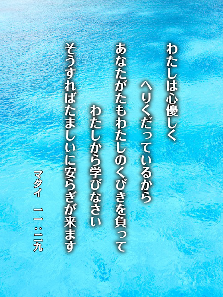 みことば6月5日