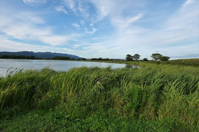 宮島沼