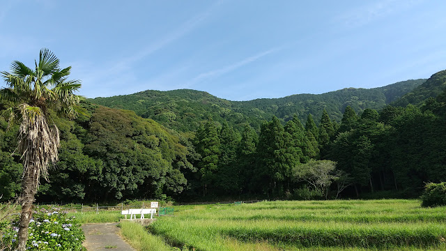 「疲れはとれた」と思っていたけど