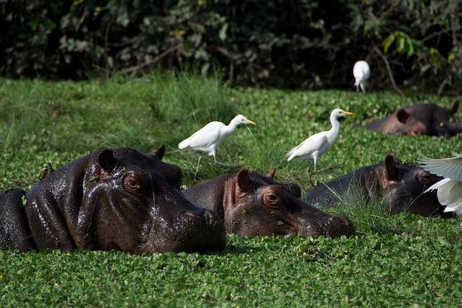 Ilha de Orango - Os melhores lugares para visitar na Guiné-Bissau