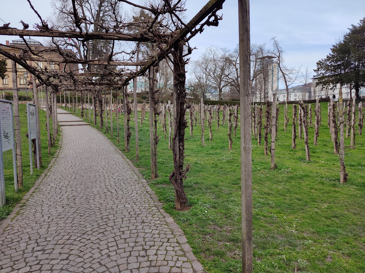 Archeological museum outside