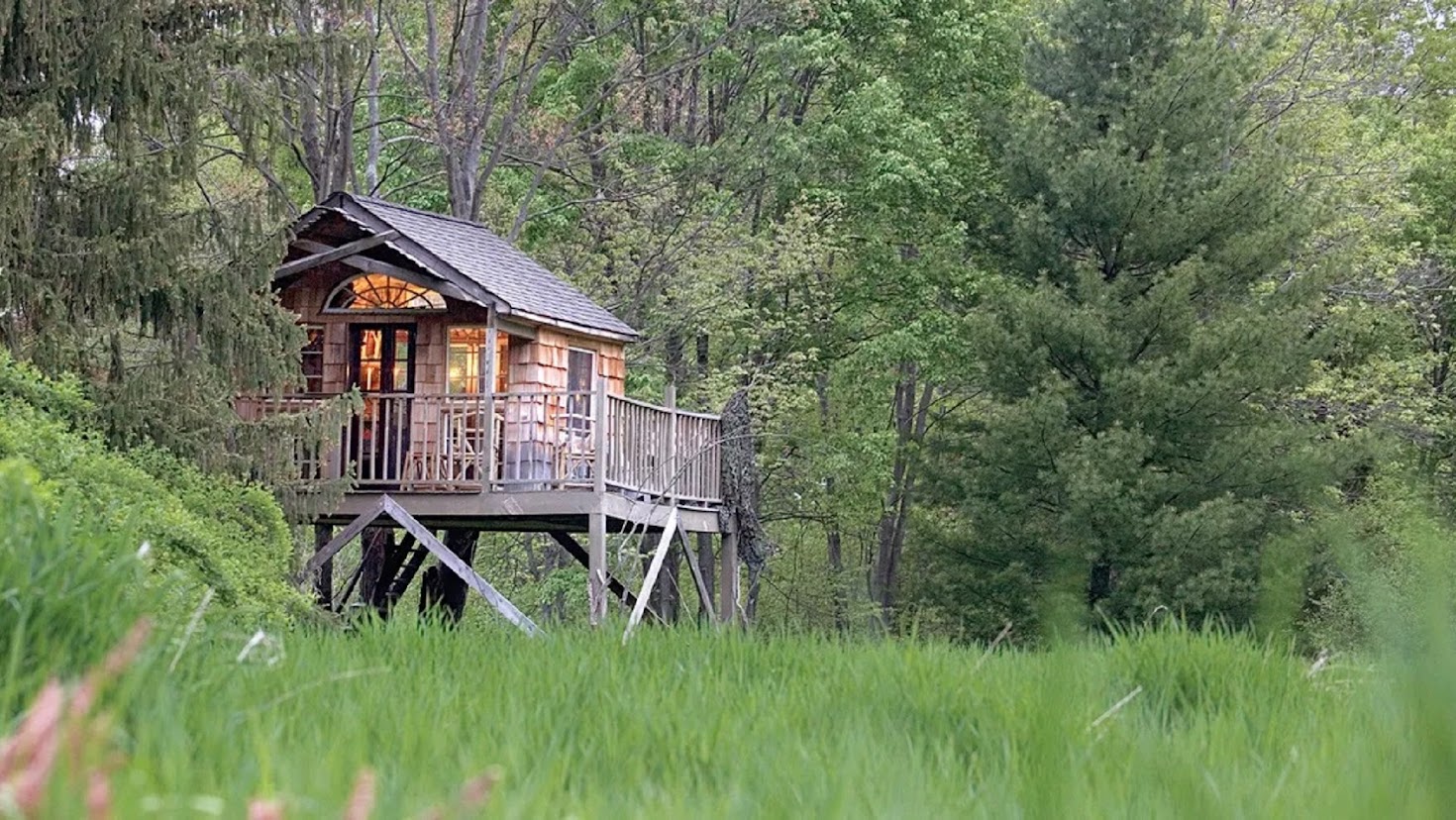 lombház tree houses