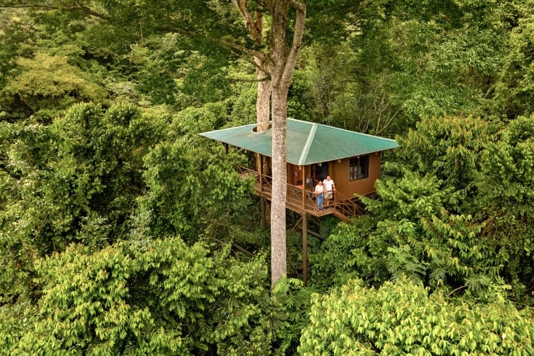 costa-rica-treehouse