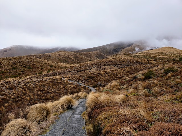 Tongariro Alpine Crossing Ketetahi bushline