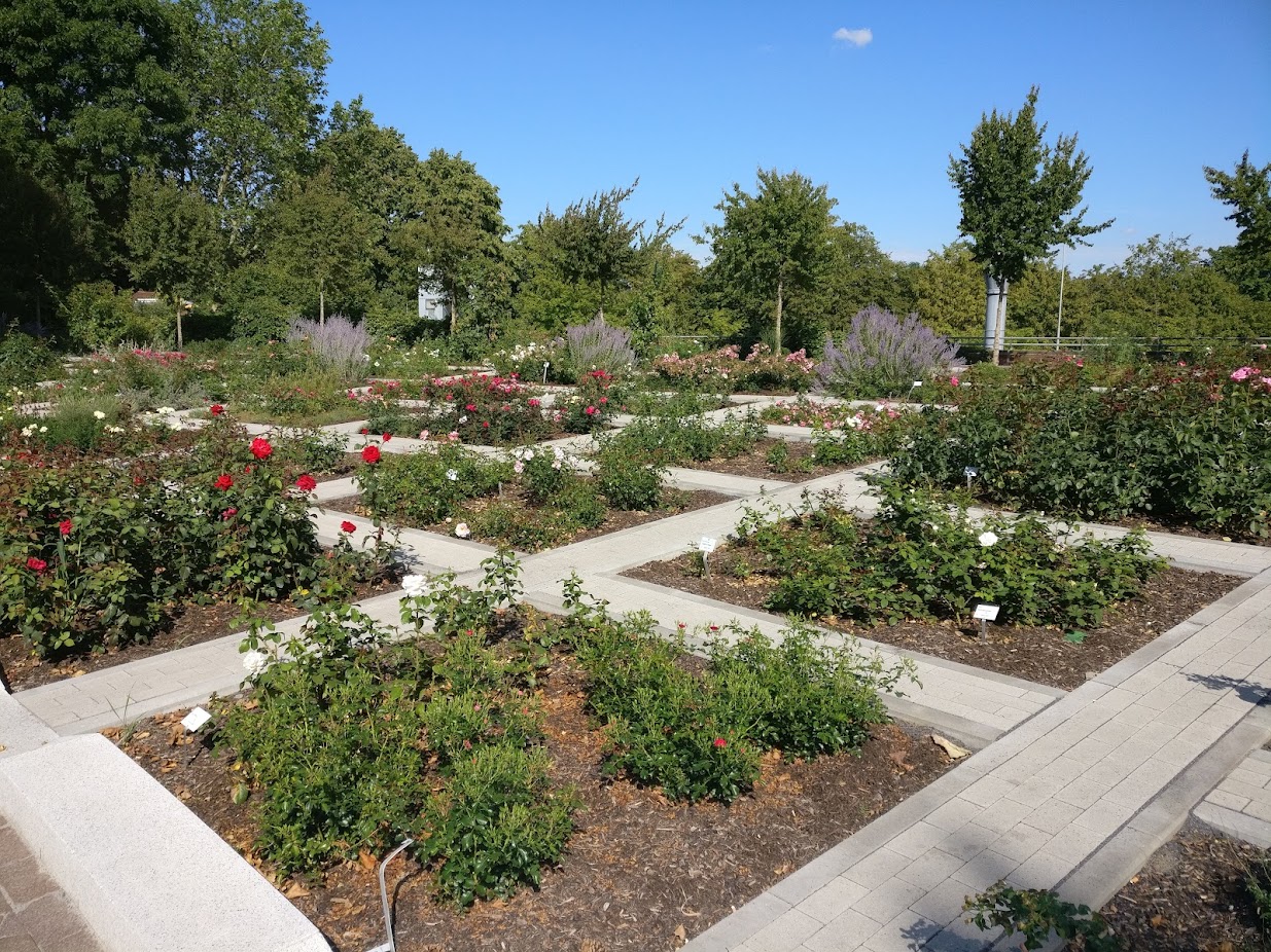 Squares in the park with flowers