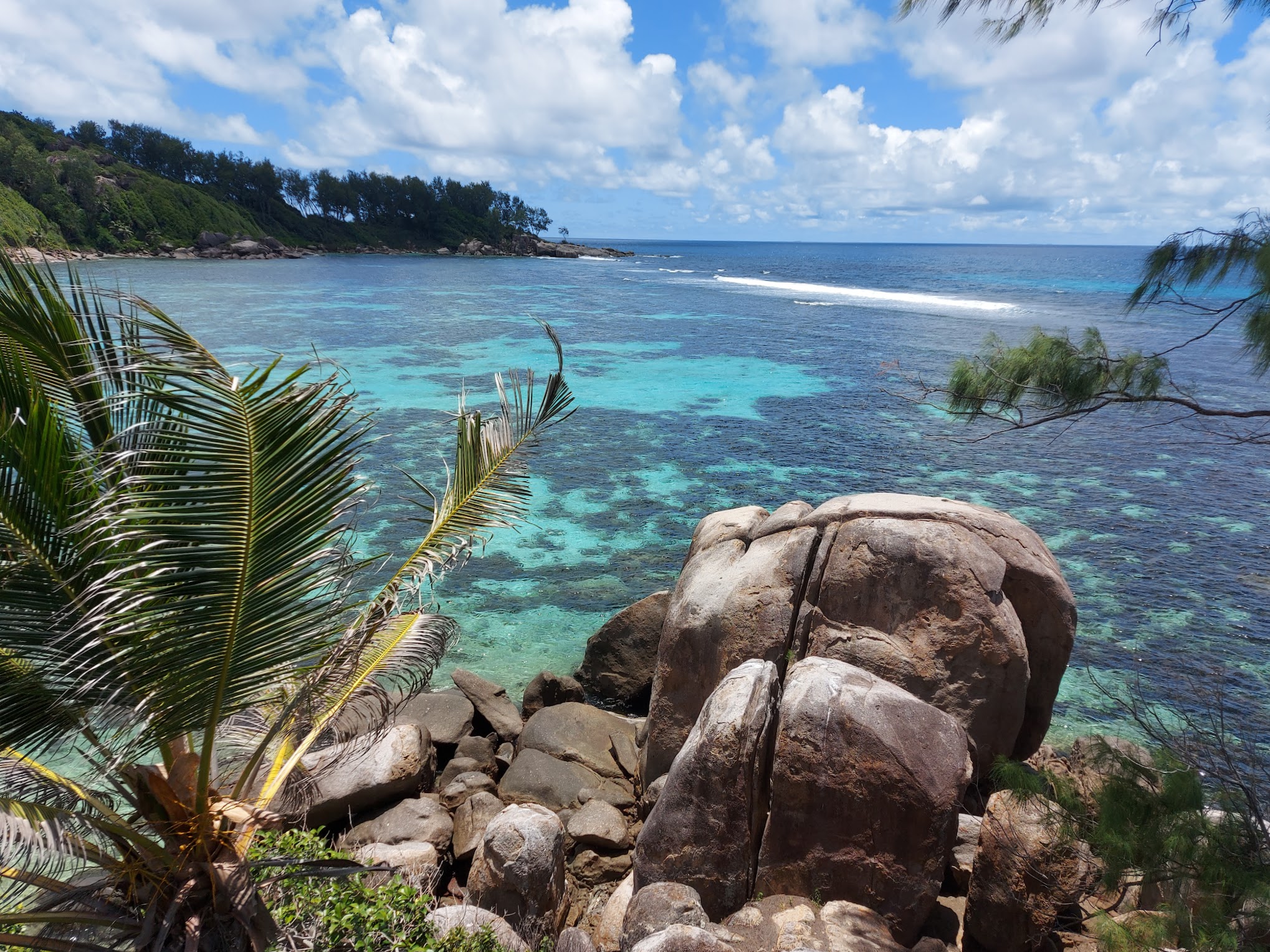 View from top of island, with reef visible through the water