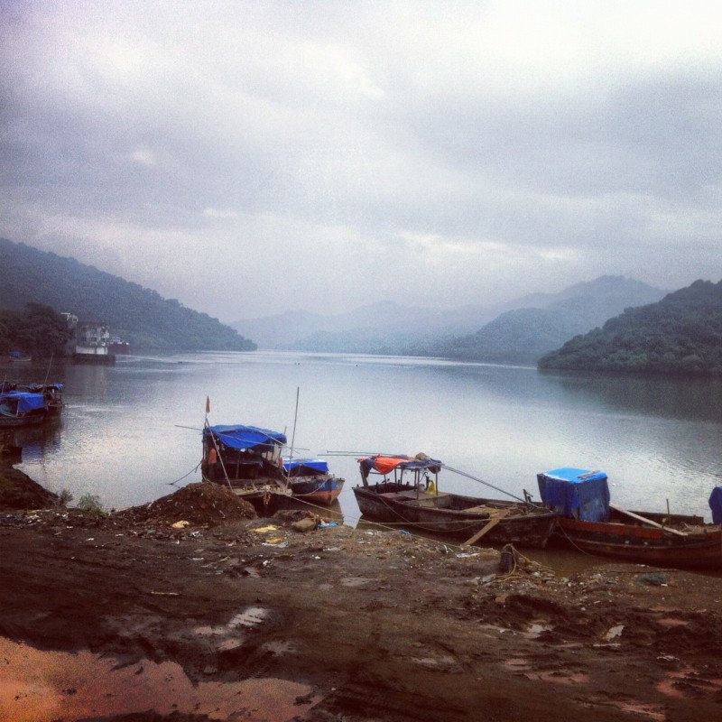 On the way back we stop to enjoy the view of Vasai Creek