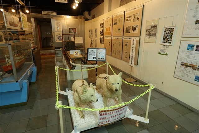 稚内市青少年科学館