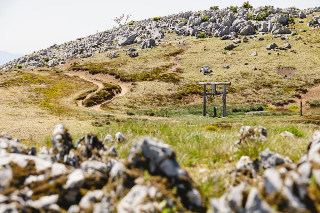 【登山】絶景の霊仙山でアルプス気分ハイク