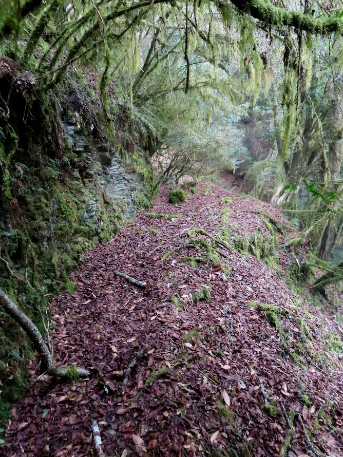 2023_八通關越道路 之 大水窟山屋~塔達芬營地