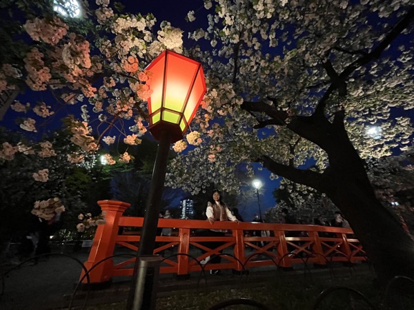 空の色の変化とライトアップも楽しく