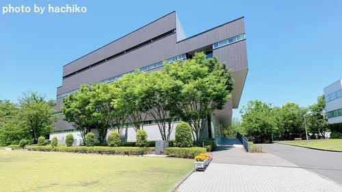 東京造形大学の食堂の口コミ