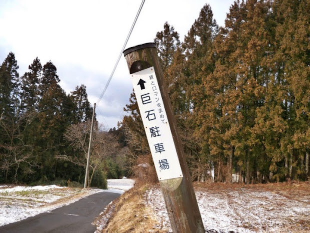 駐車場で緑とロマンを見つけて下さい！？