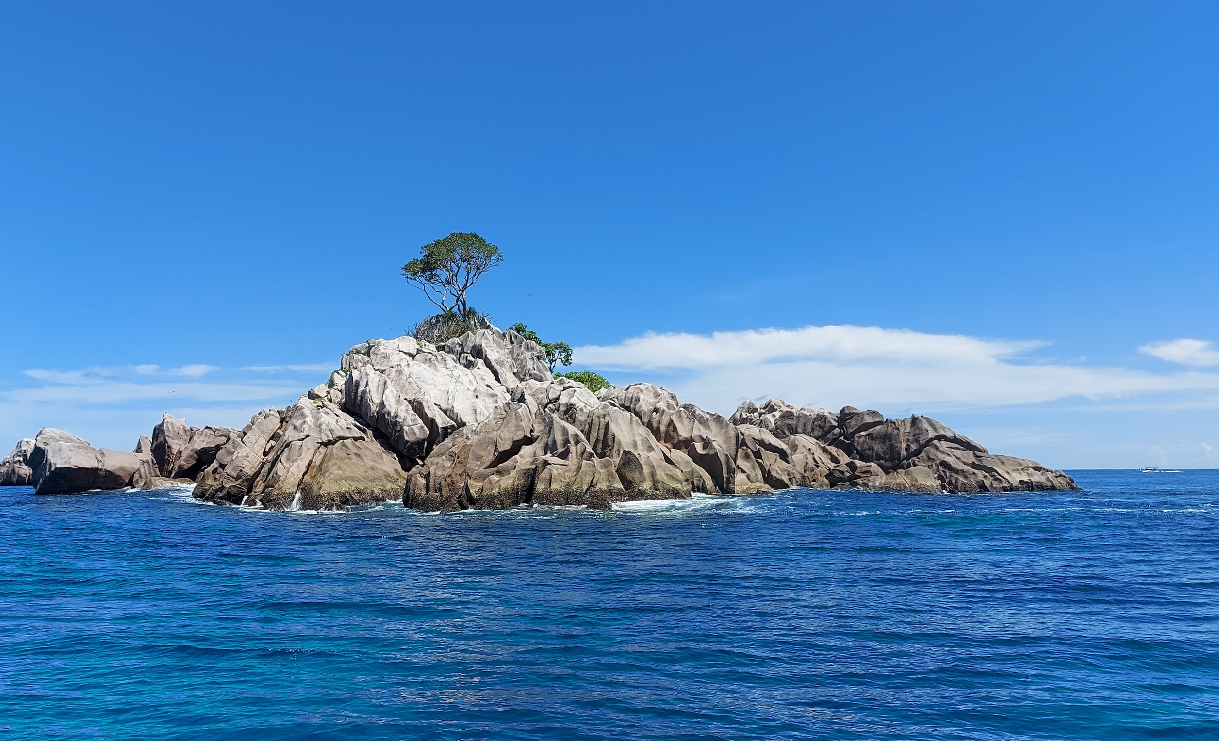 small granite island with single tree