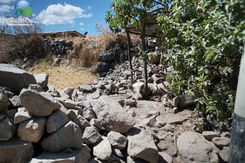 LAGUNA WILCACOCHA con NIÑOS - CORDILLERA NEGRA