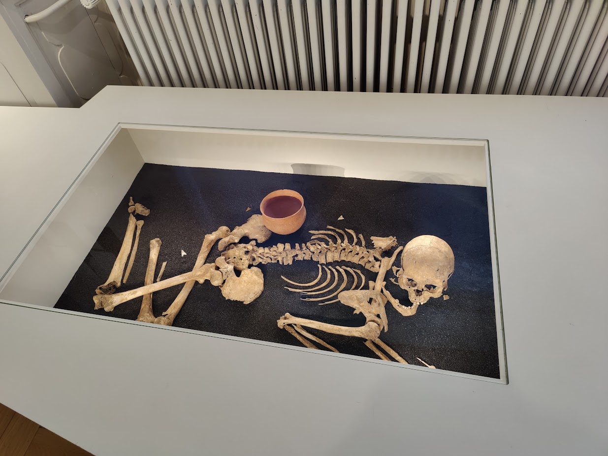 A skeleton with a ceramic container next to it