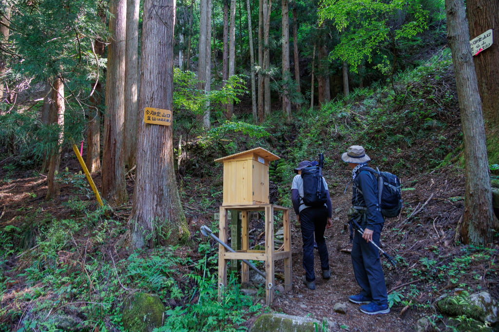 【登山】絶景の霊仙山でアルプス気分ハイク