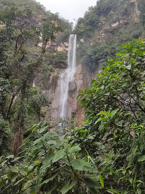 Catarata Yumbilla. Valle de las Cascadas. Cuispes - Mi viaje a Perú: Un abanico de Civilizaciones, Historia y Naturaleza (24)