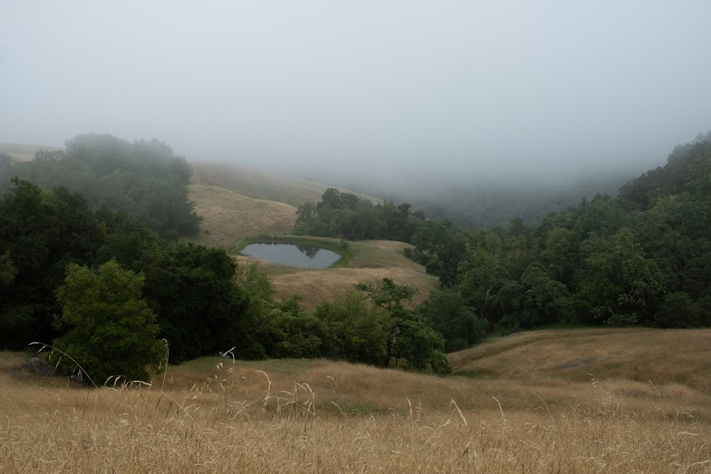 Backpacking to Pacheco Falls in Henry Coe State Park