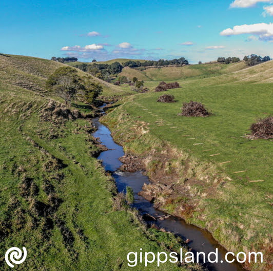 Agnes River after willow removal May 2023