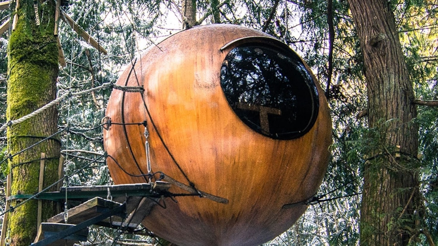 lombház tree houses