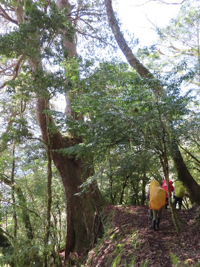 2023_八通關越道路 之 大水窟山屋~塔達芬營地